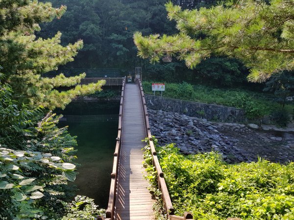 20180722_083040.jpg
