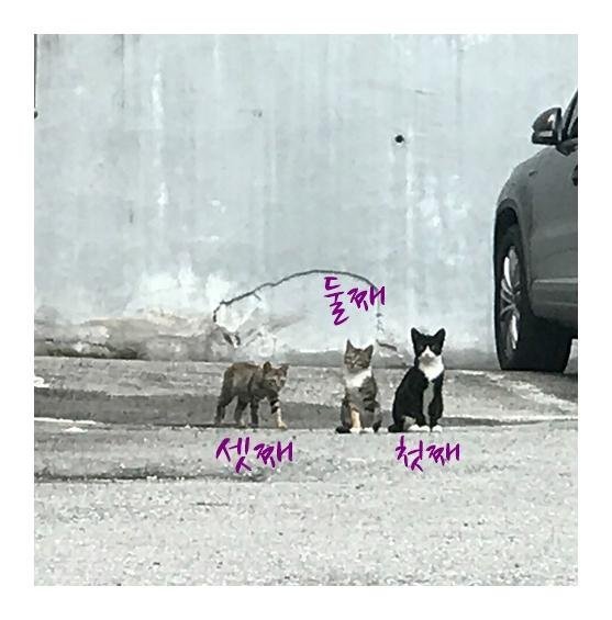 삼남매.jpg