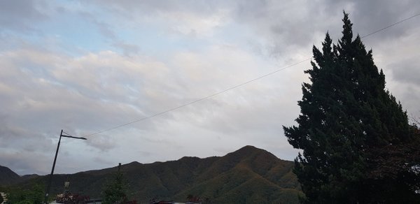 20181018_172748.jpg
