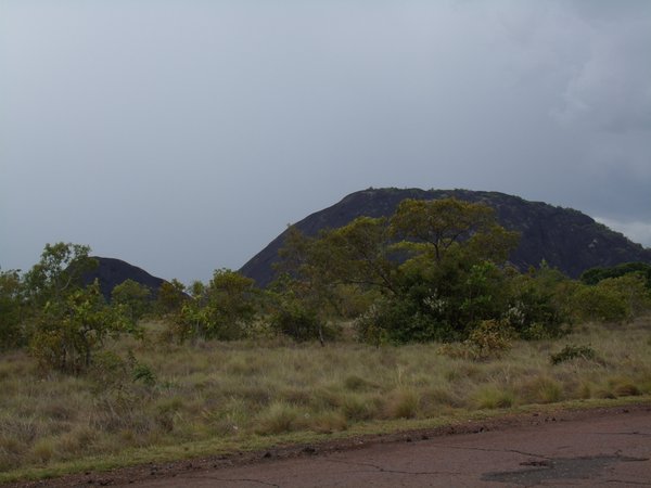 pura vida