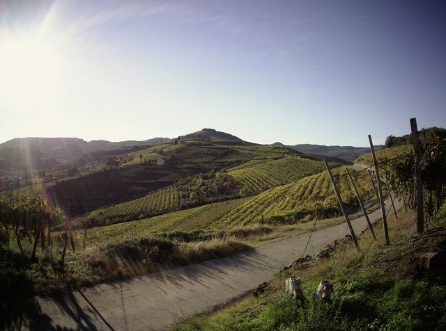 IMG190101-002014F.JPG