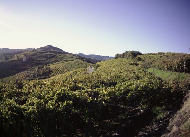 IMG190101-002304F.JPG