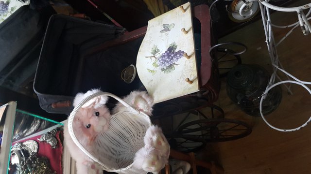 20190427_122703.jpg