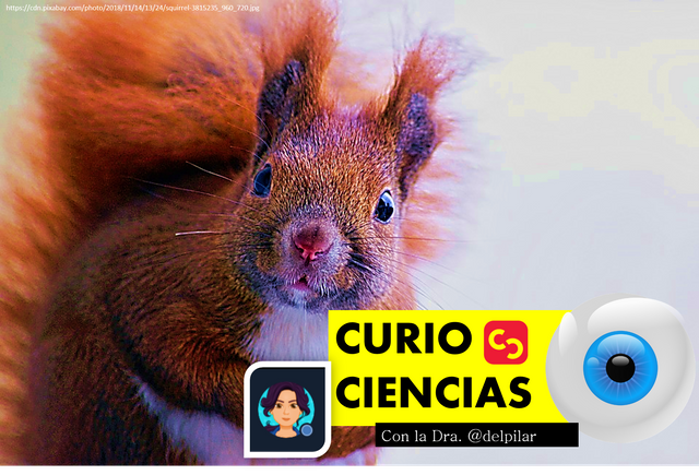 curiociencia.png