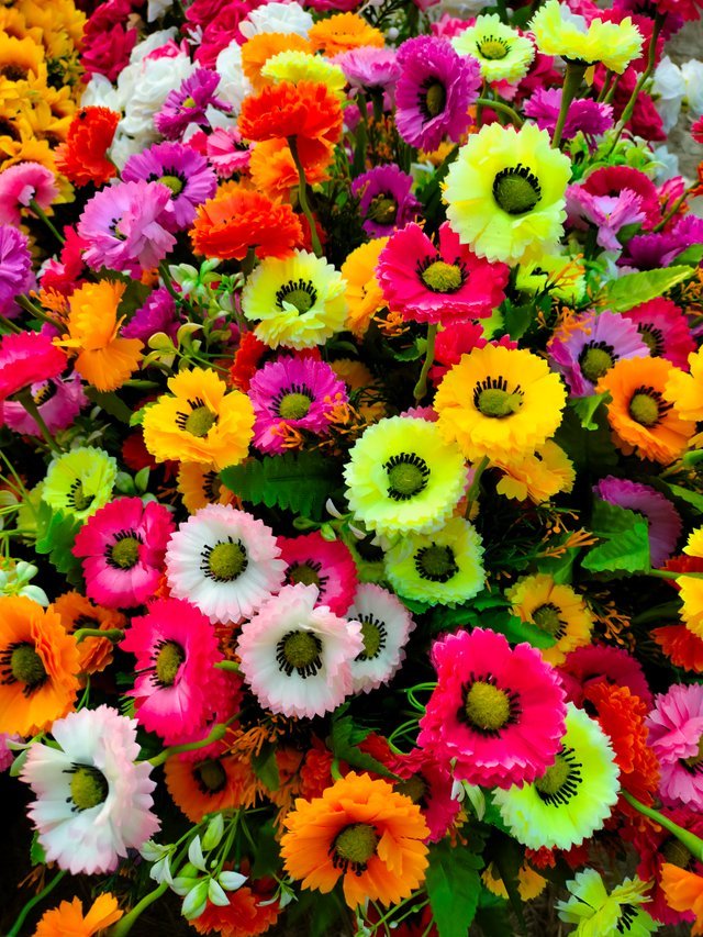 IMG20221017161659.jpg