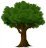 tree from pixabay.jpg