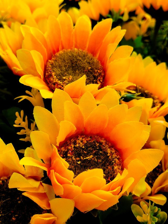 IMG20221017161846.jpg