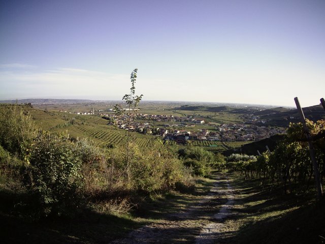 IMG190101-003323F.JPG