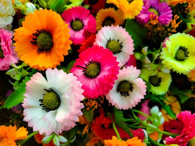 IMG20221017161657.jpg