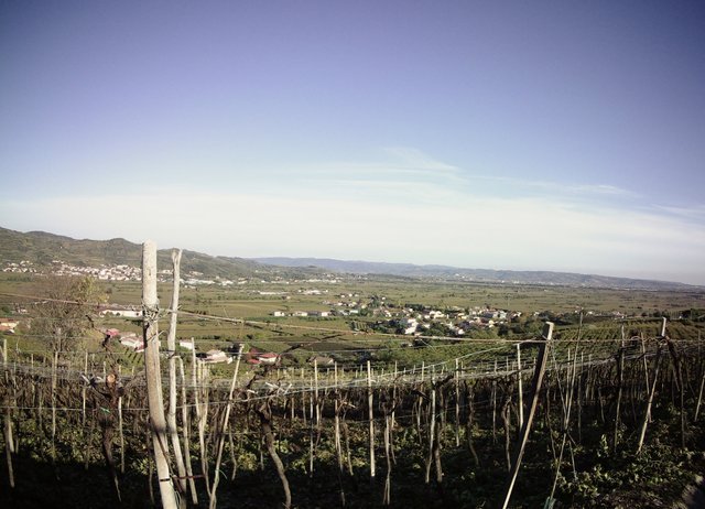 IMG190101-001743F.JPG