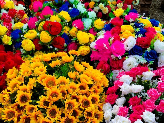 IMG20221017161751.jpg