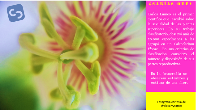 sexi2.png