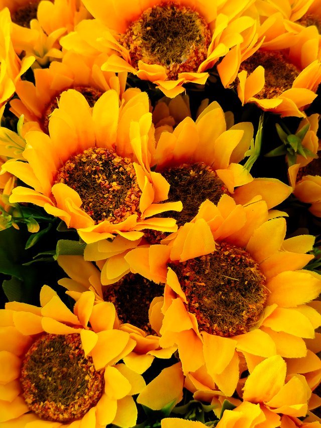 IMG20221017161857.jpg