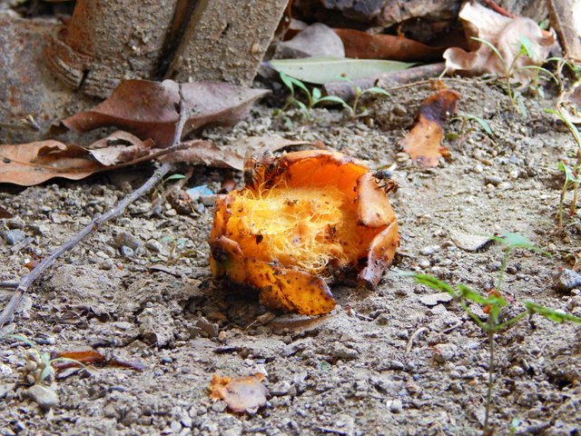 DSCN7683.jpg