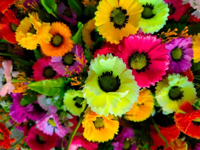IMG20221017161703.jpg