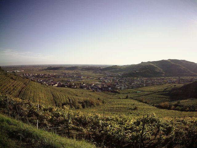 IMG190101-002621F.JPG