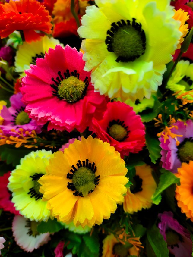IMG20221017161655.jpg