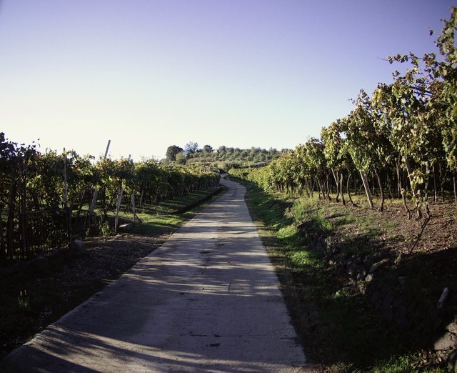 IMG190101-001422F.JPG