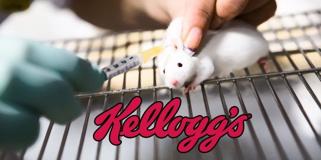 kelloggs