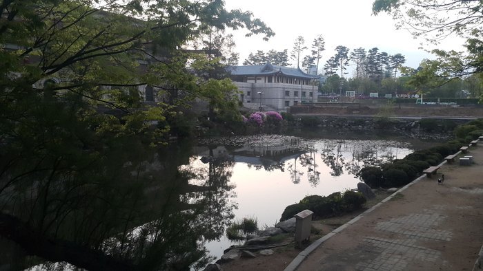20160419_054534.jpg