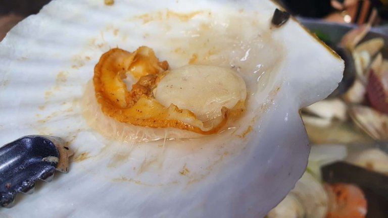 20190519_134529.jpg