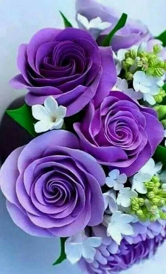 bc2977f0fa12ed2abe8a5cb75ac434ab--roses-purple-lavender-roses.jpg
