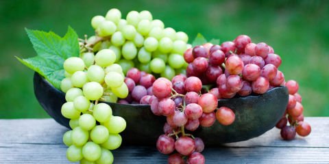 landscape-1513015699-red-green-grapes.jpg