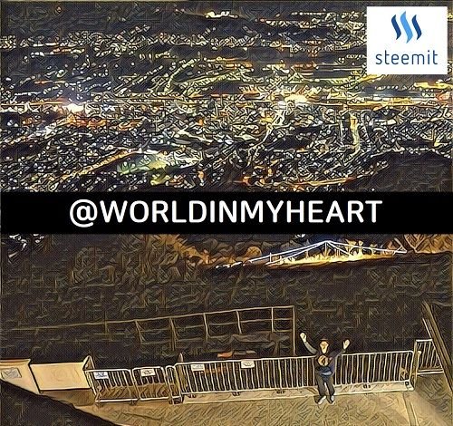 worldinmyheart cover500.jpg