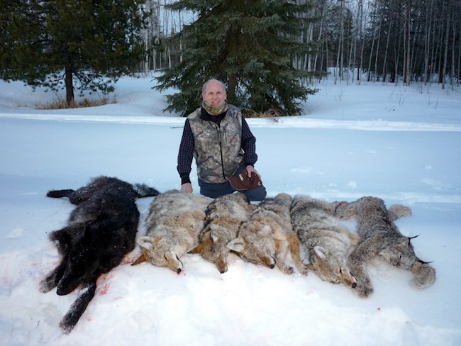 wolf hunting.jpg