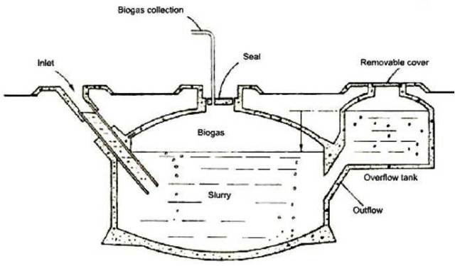 Imagen2.jpg