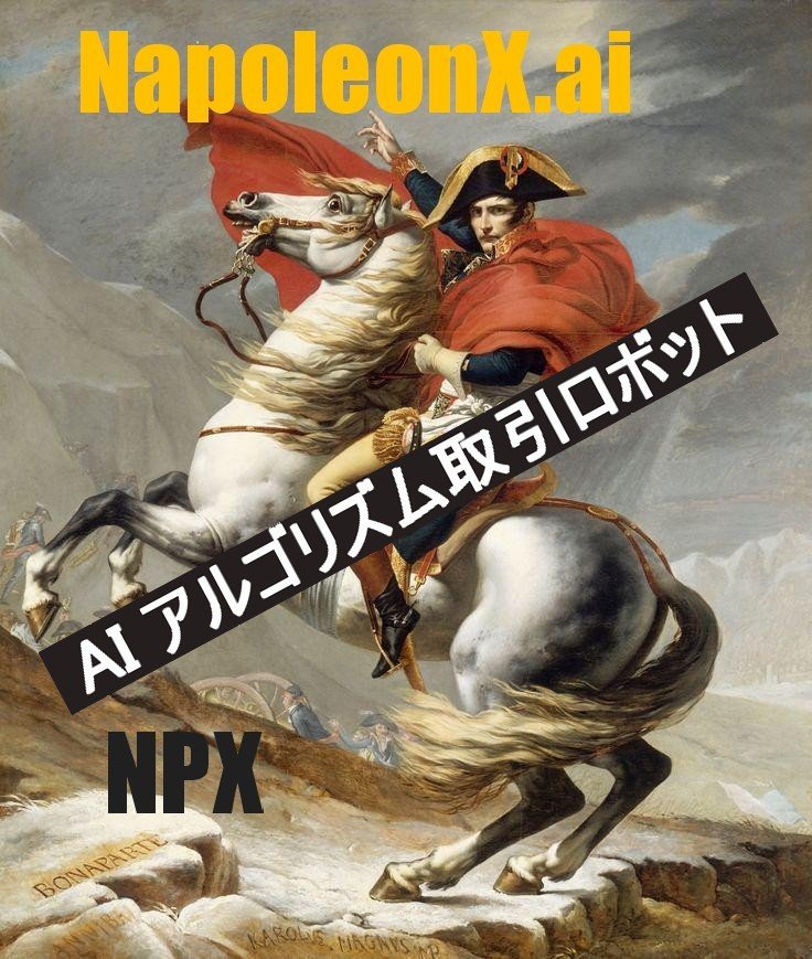 napoleonX_NPX_jp.jpg