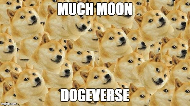 doge2.jpg