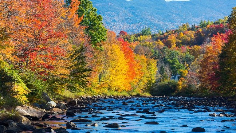 2016-NH-Fall-Foliage-9372.jpg