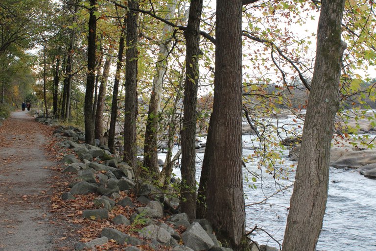 belle isle nov.15.2017 148.JPG