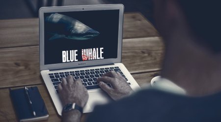 blue-whale_file.jpg