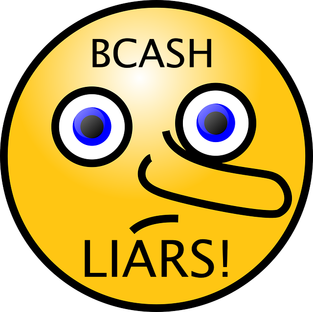 Bcash liars.png