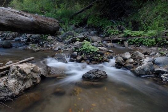 HabitatUpstreamDam.jpg