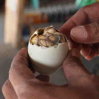 54f64b4da6ca0_-_del-eggs-balut-xl-63154851.jpg