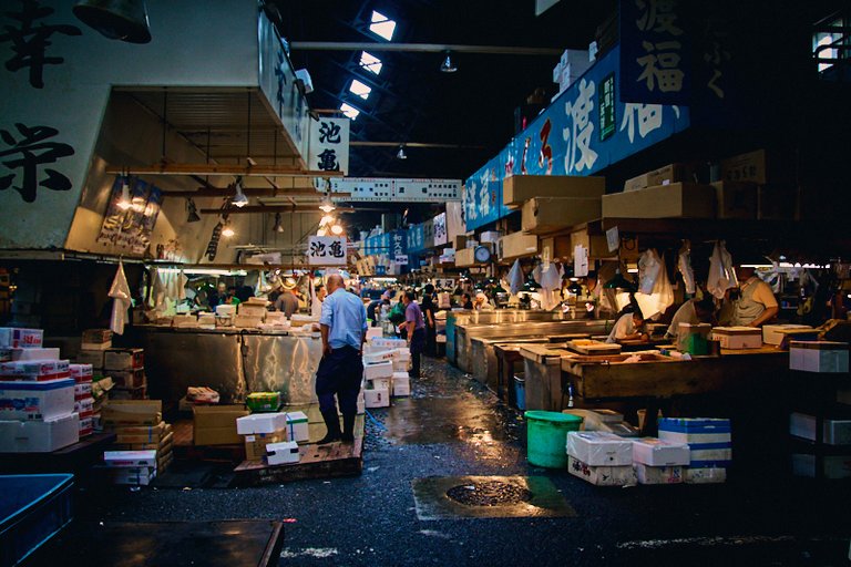 Tsukiji 4.jpg