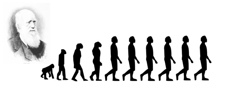 Darwin evolution.jpg