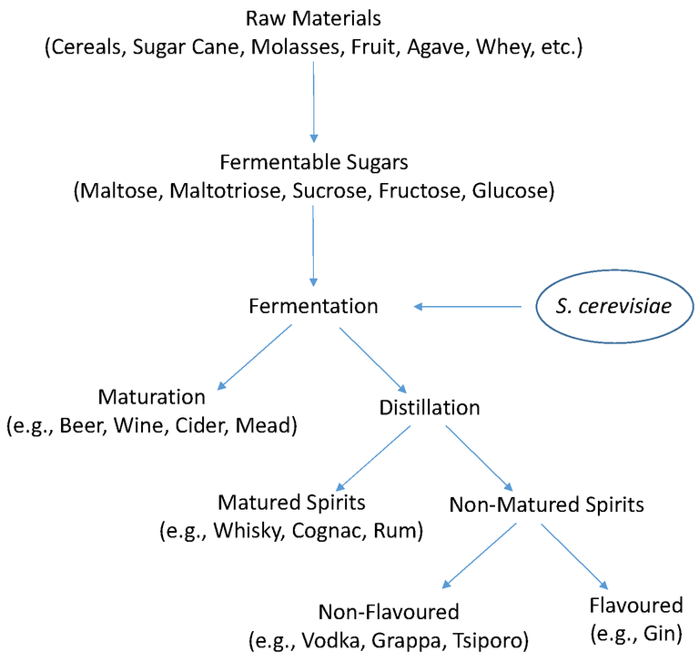 beverages-02-00030-g001.png