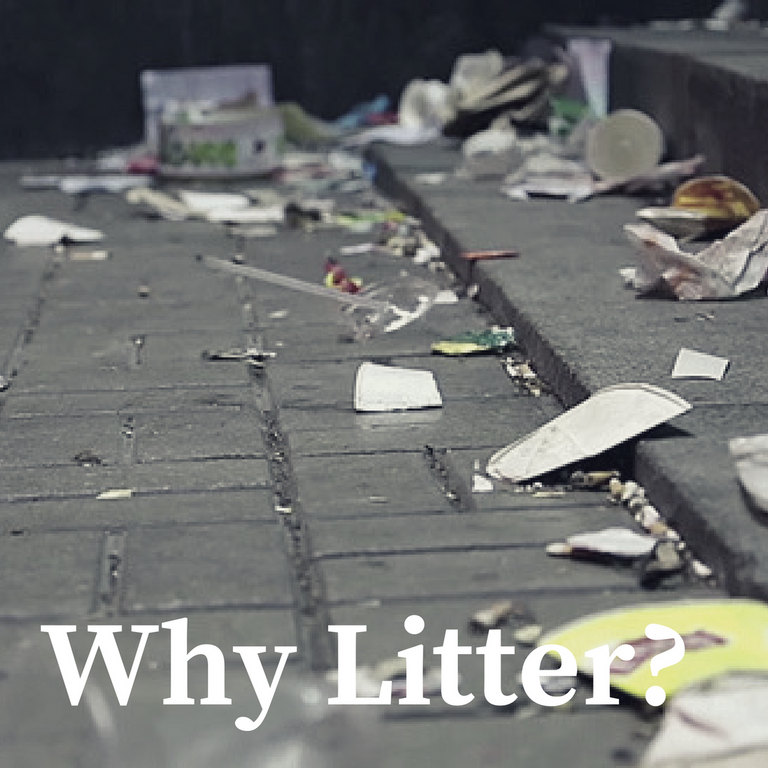 Why Litter_.png