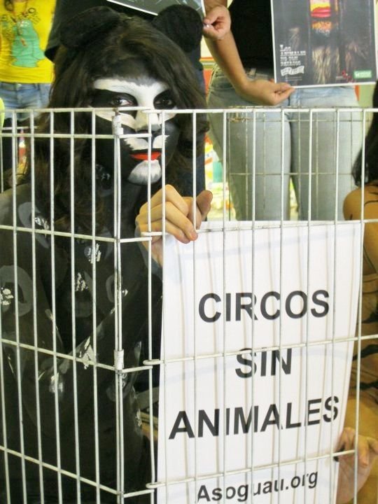 Circos sin animales.jpg