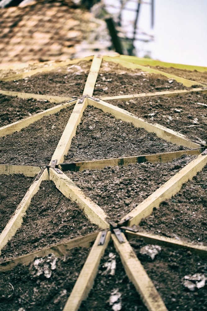 SHELL_MYCELIUM_DETAIL_1.jpg