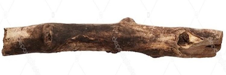 depositphotos_83365516-stock-photo-broken-tree-branch.jpg