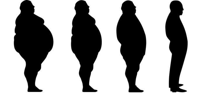 lose-weight-1911605_1920.png