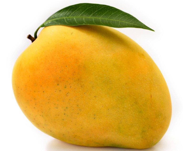 12_Mango.jpg