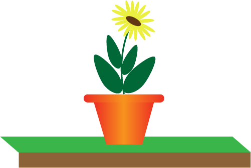 plant.png