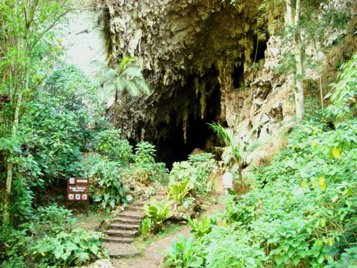 CUEVA  DEL GUACHARO..jpg