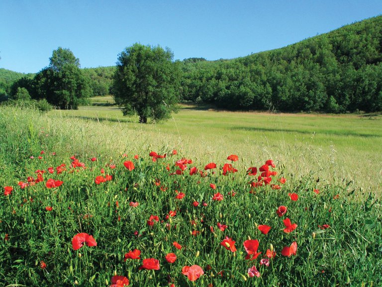 Alvao-Natural-Park.jpg